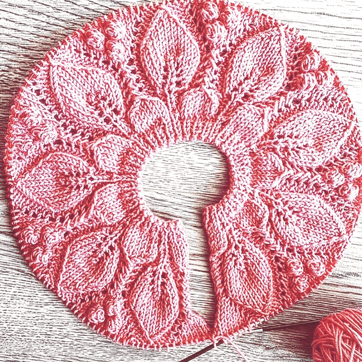 PATRÓN CHALECO JAVIERA  2