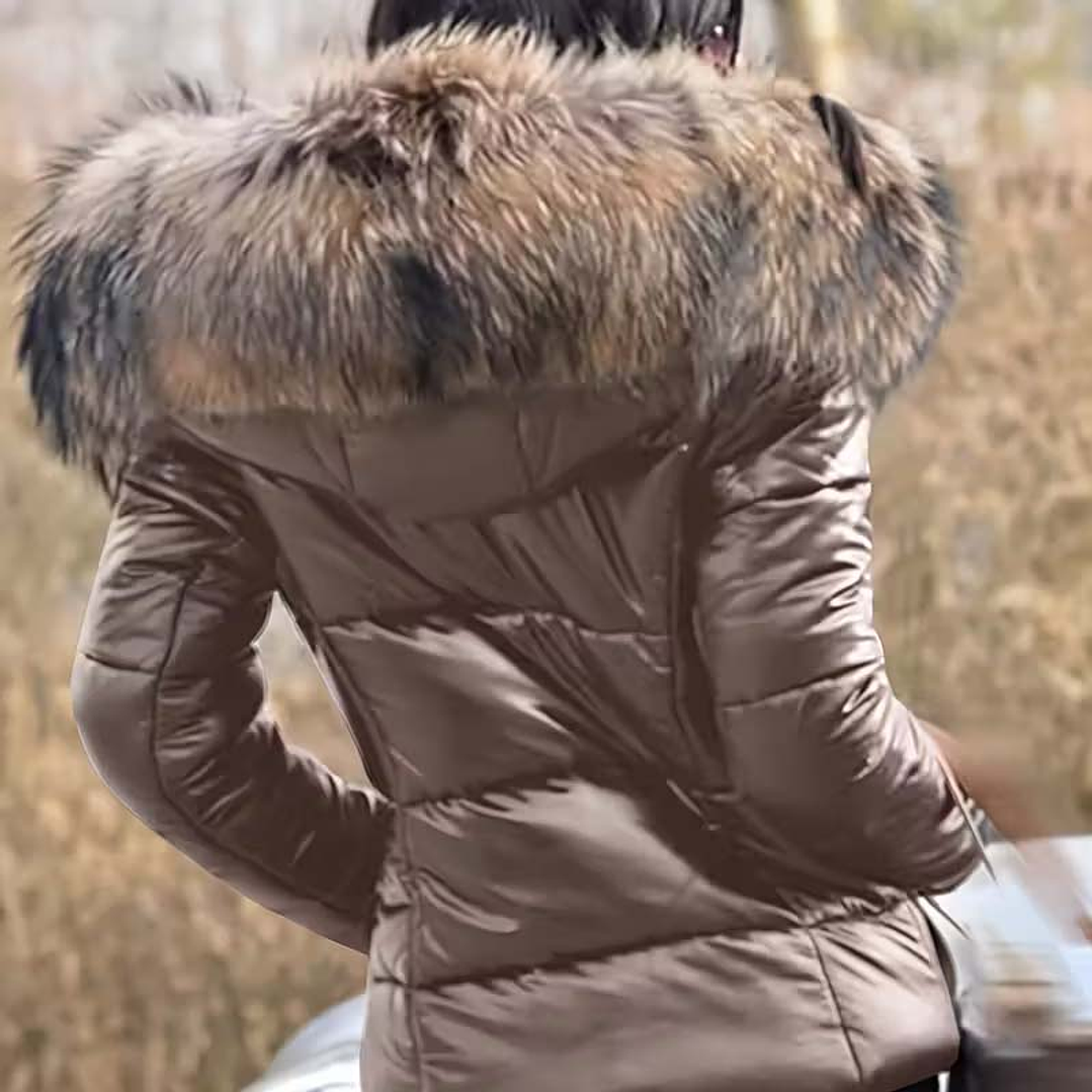 Casaco Senhora - Portes Grátis 3