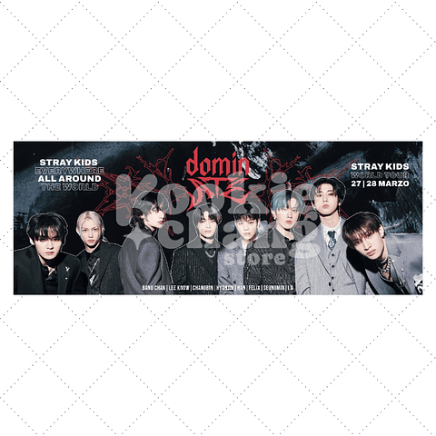 Banner de recuerdo - STRAY KIDS en Chile