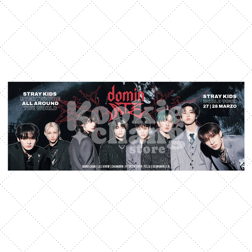 Banner de recuerdo - STRAY KIDS en Chile 1