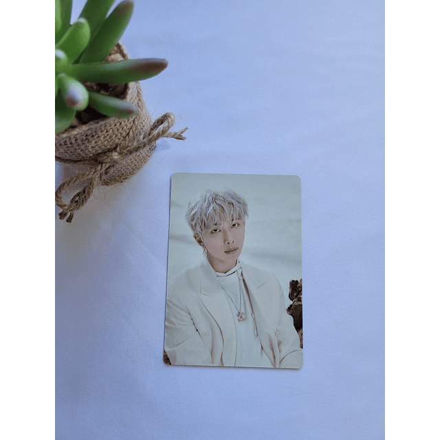 Photocard Namjoon Map of soul tour