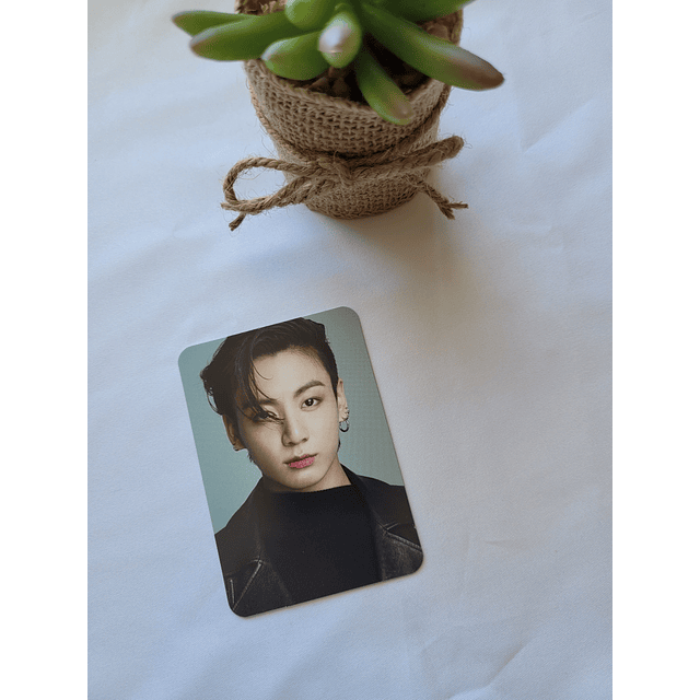 Photocard Dicon BTS