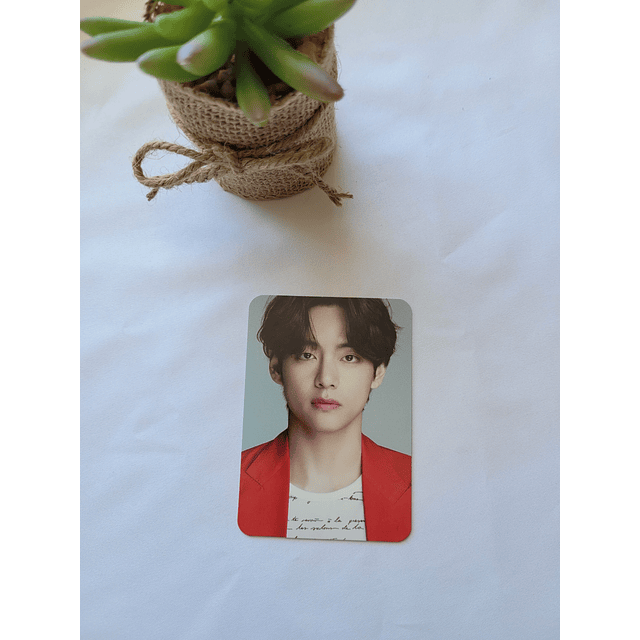 Photocard Dicon BTS