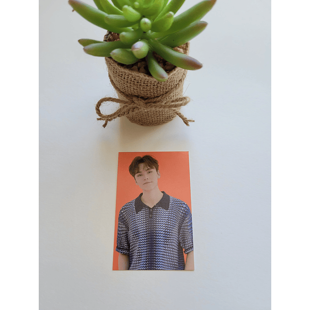 Photocard Seventeen Caratland 2021