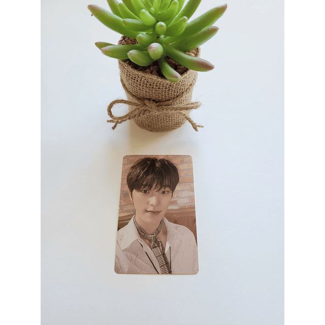 Photocard Seventeen HMV Henggarae Dino  