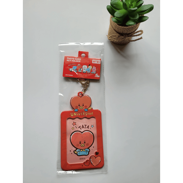 BT21 Photocard key holder