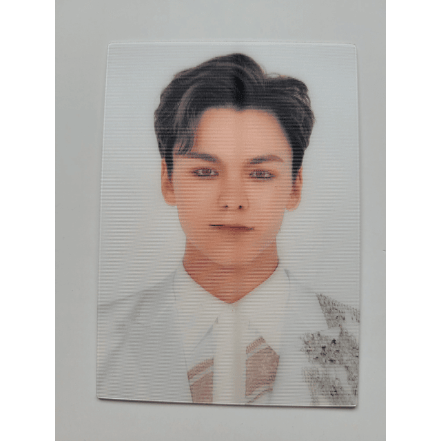 Photocard Lenticular Seventeen domo tour en Japón 2020 