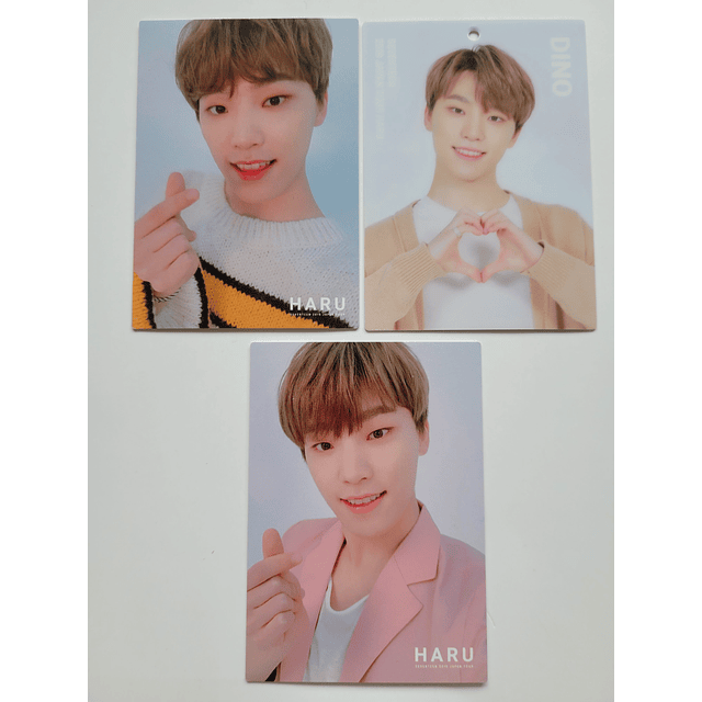 Photocard Seventeen Haru 2019 Dino