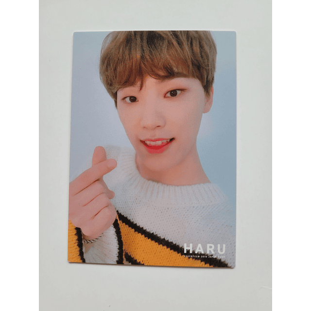 Photocard Seventeen Haru 2019 Dino