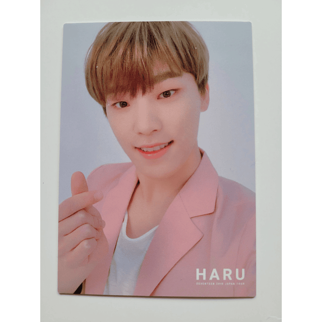 Photocard Seventeen Haru 2019 Dino