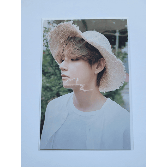 4x6 Photo Taehyung Season greeting 2021 BTS 