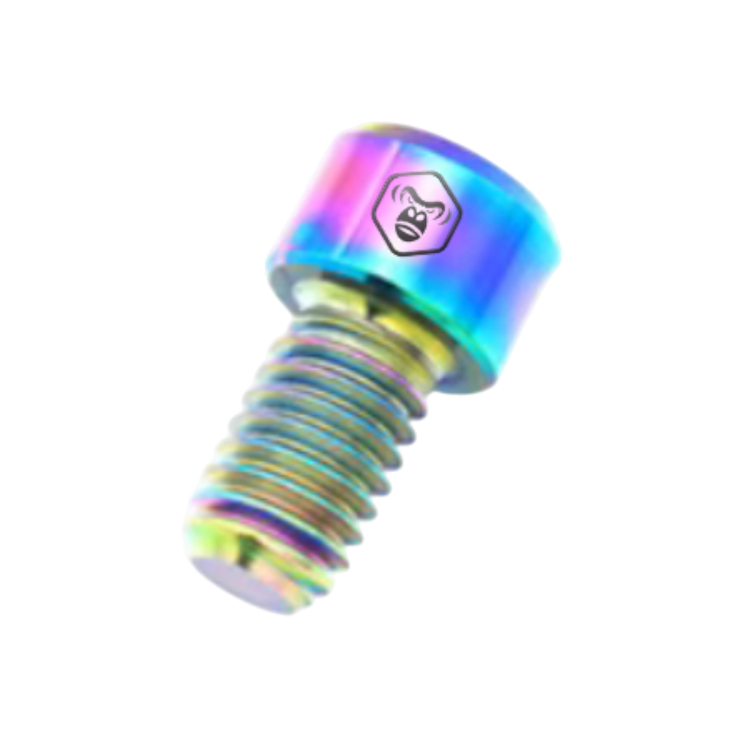 TORNILLO M6X10 AJUSTE GUAYA -HERRADURA RUTA (TITANIO) x 2un 1