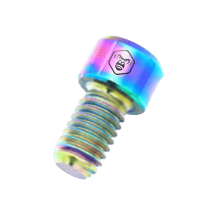 TORNILLO M6X10 AJUSTE GUAYA -HERRADURA RUTA (TITANIO) x 2un 1