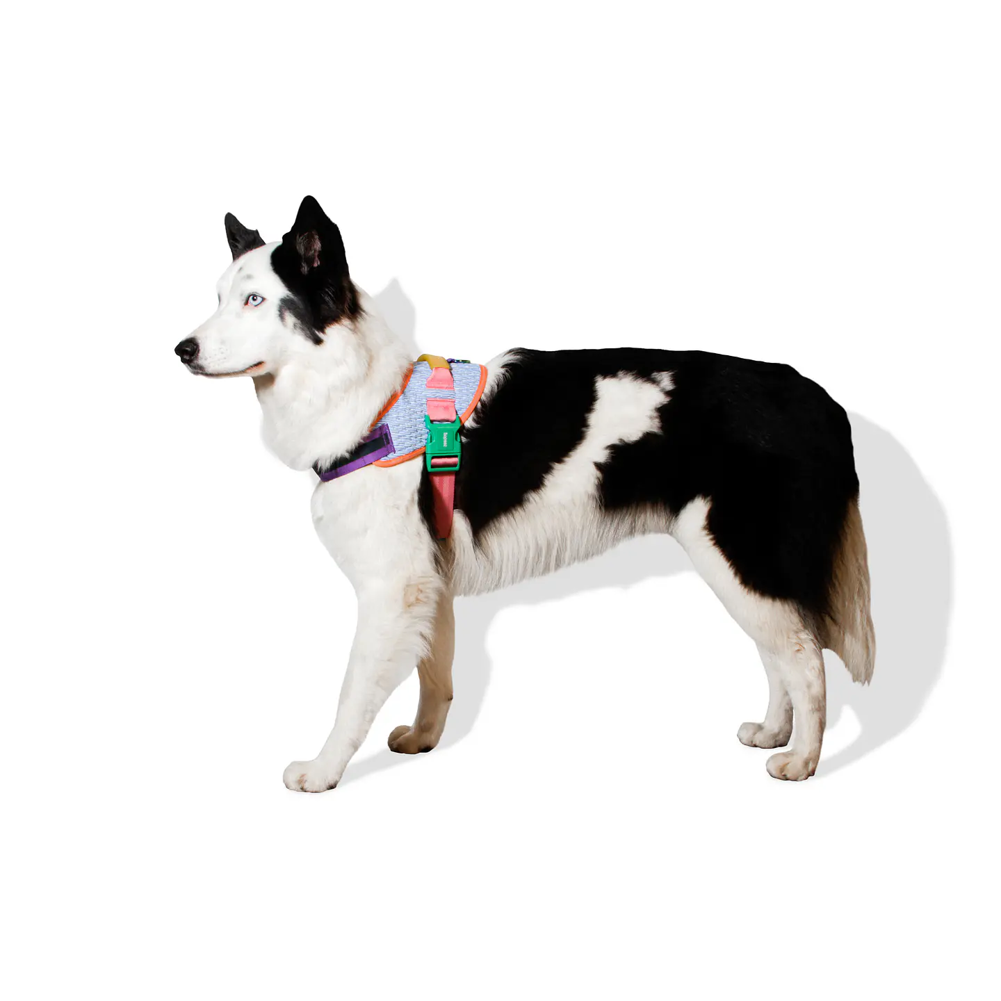 FlyHarness Galaxi  Zee.Dog para Perro 1