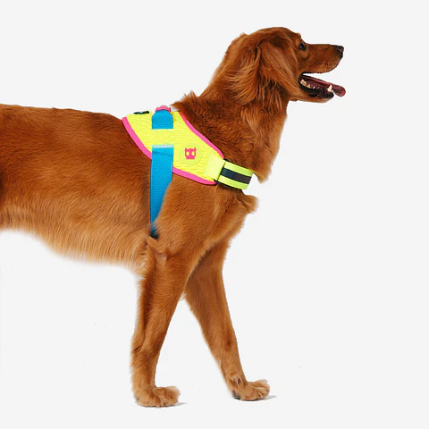 Arnés para perros Flyharness CMYK