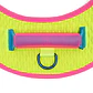 Arnés para perros Flyharness CMYK - Miniatura 4