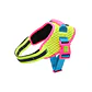 Arnés para perros Flyharness CMYK - Miniatura 3