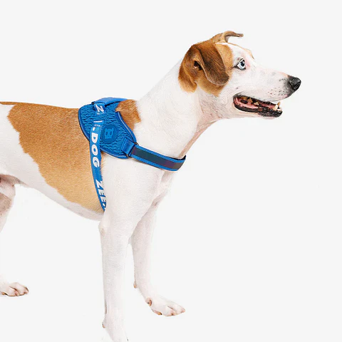 Arnés para perros Flyharness Lebron