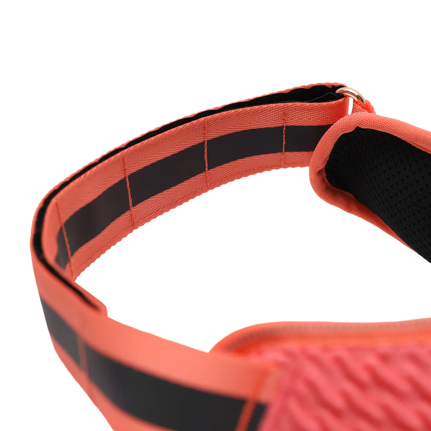 Arnés para Perros FlyHarness Gazelle Zee.Dog 4