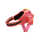 Arnés para Perros FlyHarness Gazelle Zee.Dog - Miniatura 3