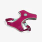 Pechera Air Mesh NOX SIDUS Zee.Dog para Perro - Miniatura 2