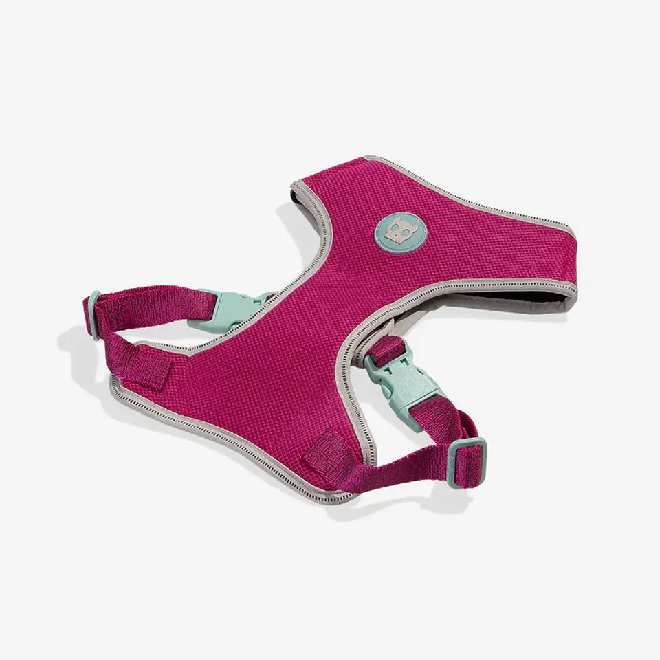Pechera Air Mesh NOX SIDUS Zee.Dog para Perro 2