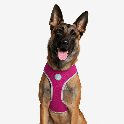 Pechera Air Mesh NOX SIDUS Zee.Dog para Perro