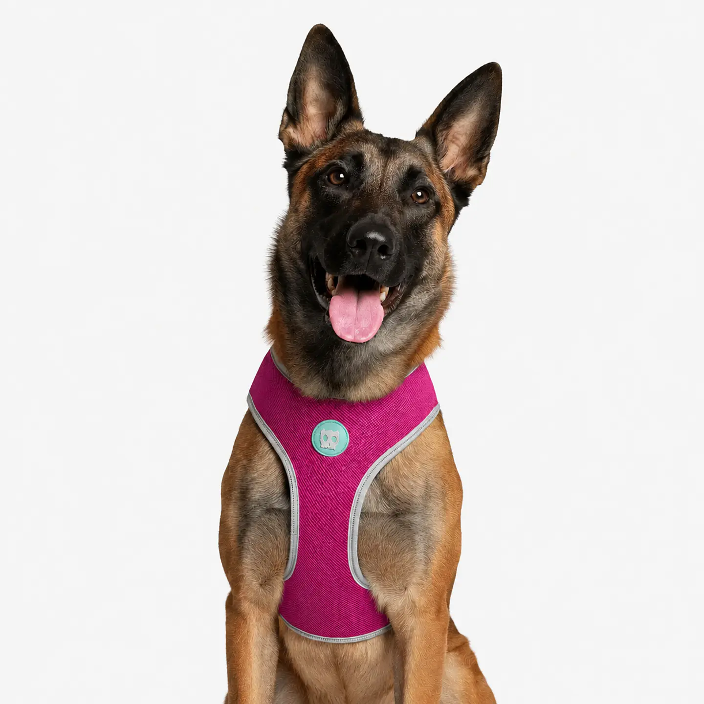 Pechera Air Mesh NOX SIDUS Zee.Dog para Perro 1