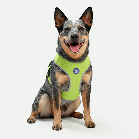 Pechera Air Mesh NOX LUMEN Zee.Dog para Perro