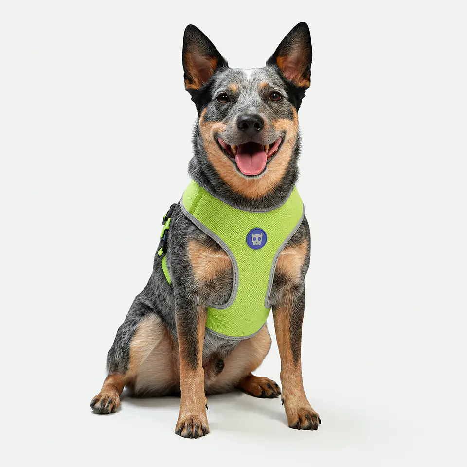 Pechera Air Mesh NOX LUMEN Zee.Dog para Perro 1