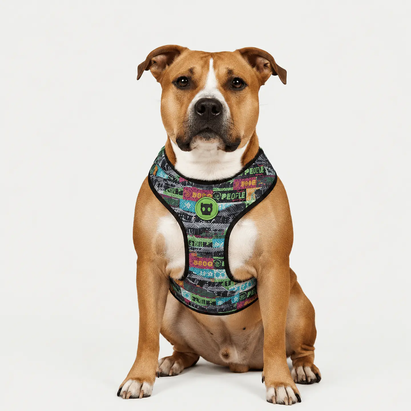 Pechera Air Mesh Manifesto Zee.Dog para Perro 1