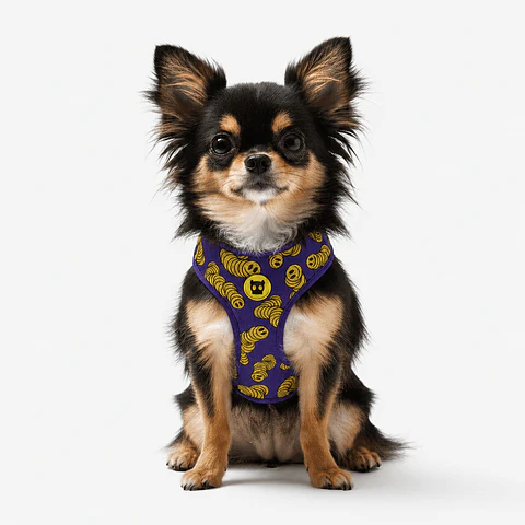 Pechera Adjustable Air Mesh Brain de Zee.Dog