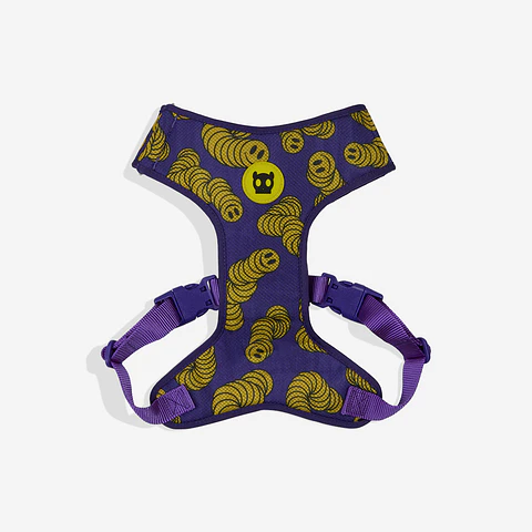 Pechera Adjustable Air Mesh Brain de Zee.Dog