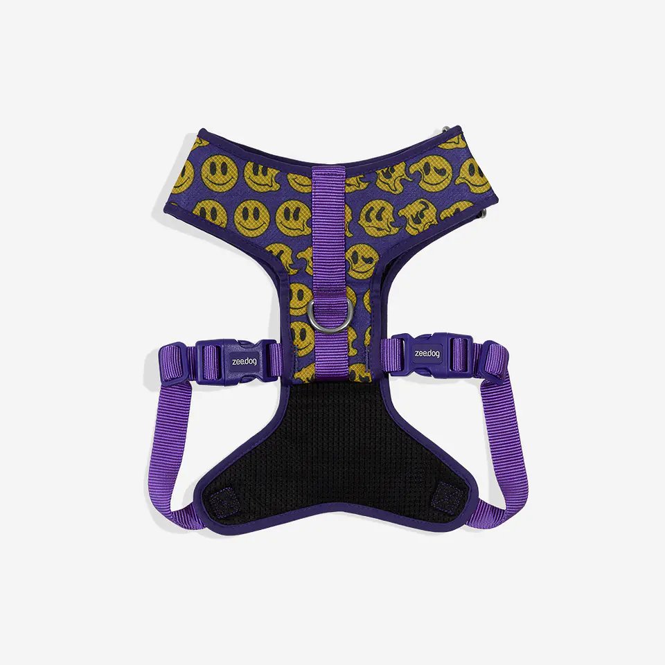 Pechera Adjustable Air Mesh Brain de Zee.Dog 4