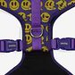 Pechera Adjustable Air Mesh Brain de Zee.Dog - Miniatura 5
