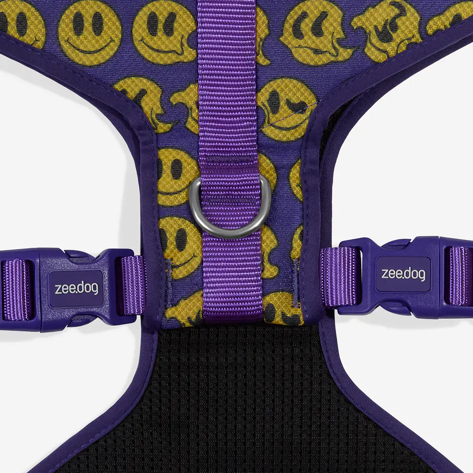 Pechera Adjustable Air Mesh Brain de Zee.Dog 5