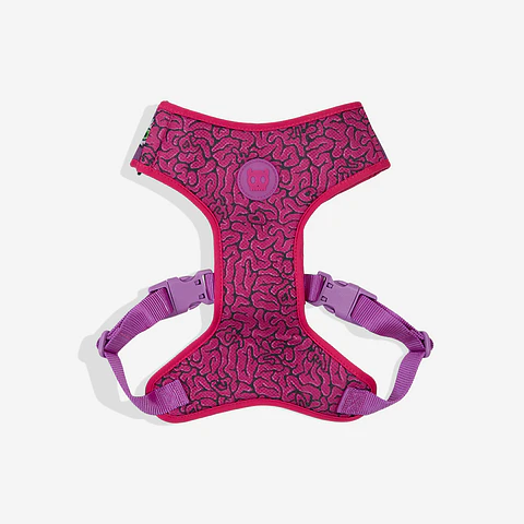 Pechera Air Mesh Brain Zee.Dog para Perro