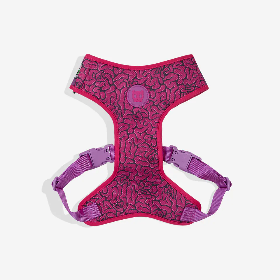 Pechera Air Mesh Brain Zee.Dog para Perro 2