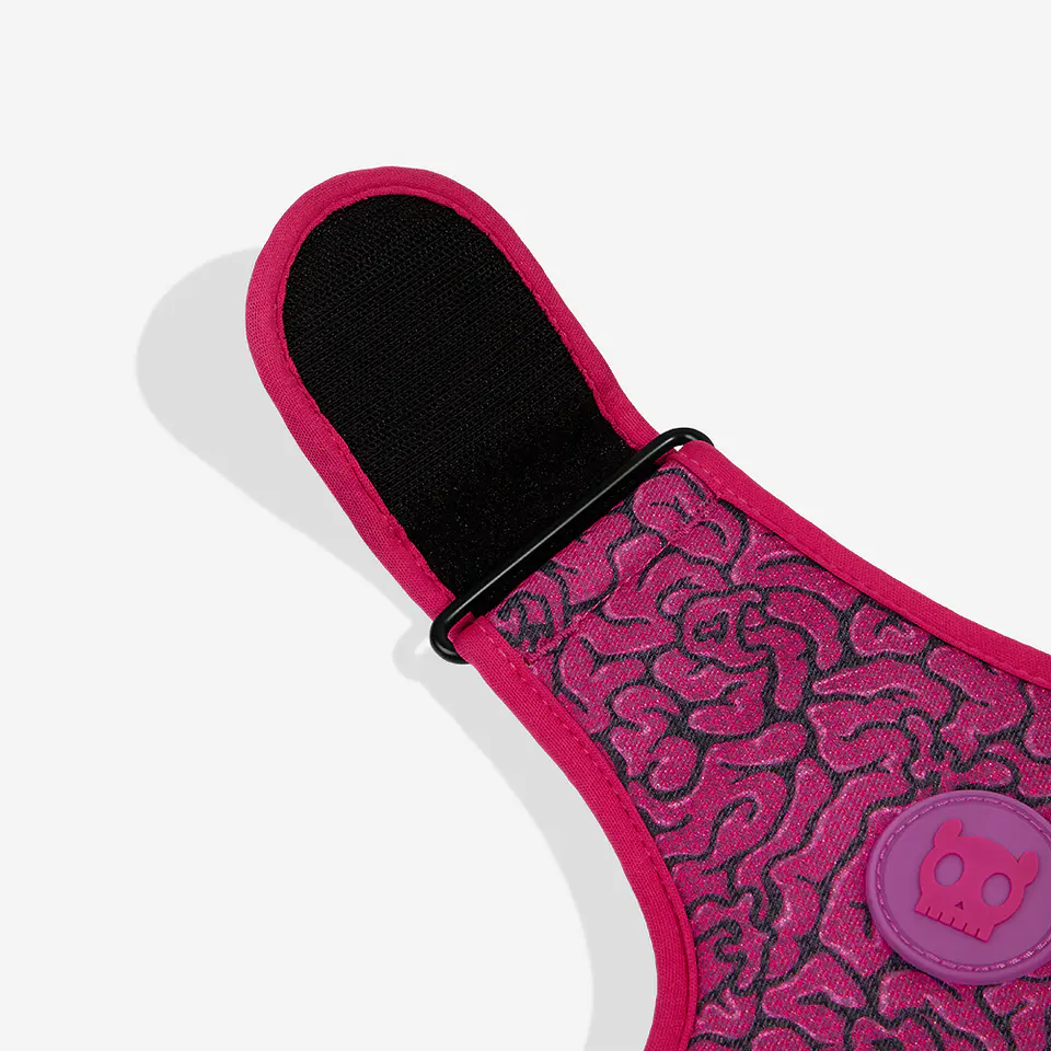 Pechera Air Mesh Brain Zee.Dog para Perro 5