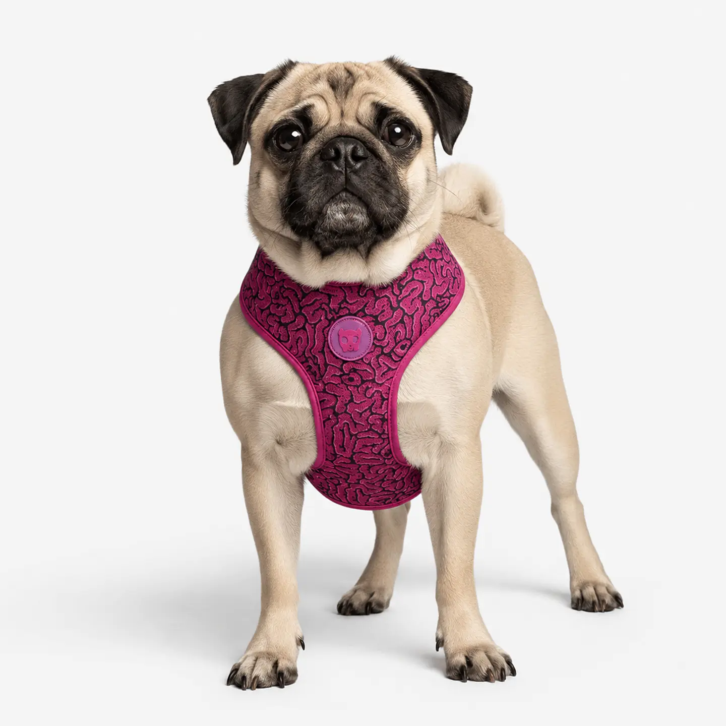 Pechera Air Mesh Brain Zee.Dog para Perro 1