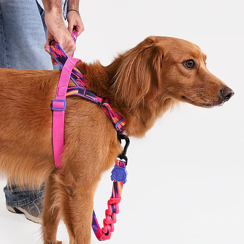 Arnés Anti-Tirones SofterWalk Error #500 Zee.Dog para Perro