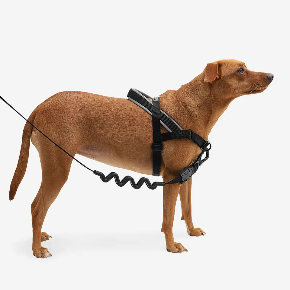 Arnés Anti-Tirones SofterWalk Gotham Zee.Dog para Perro 1