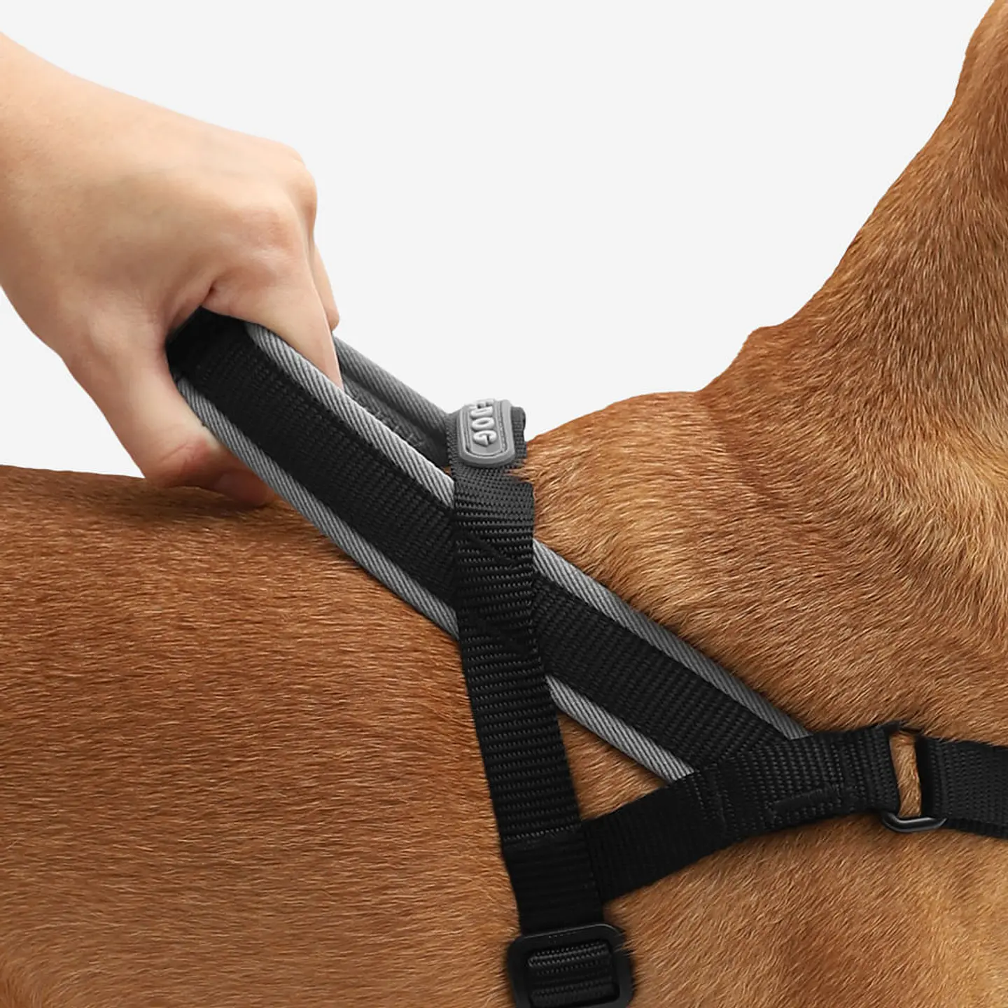 Arnés Anti-Tirones SofterWalk Gotham Zee.Dog para Perro 4