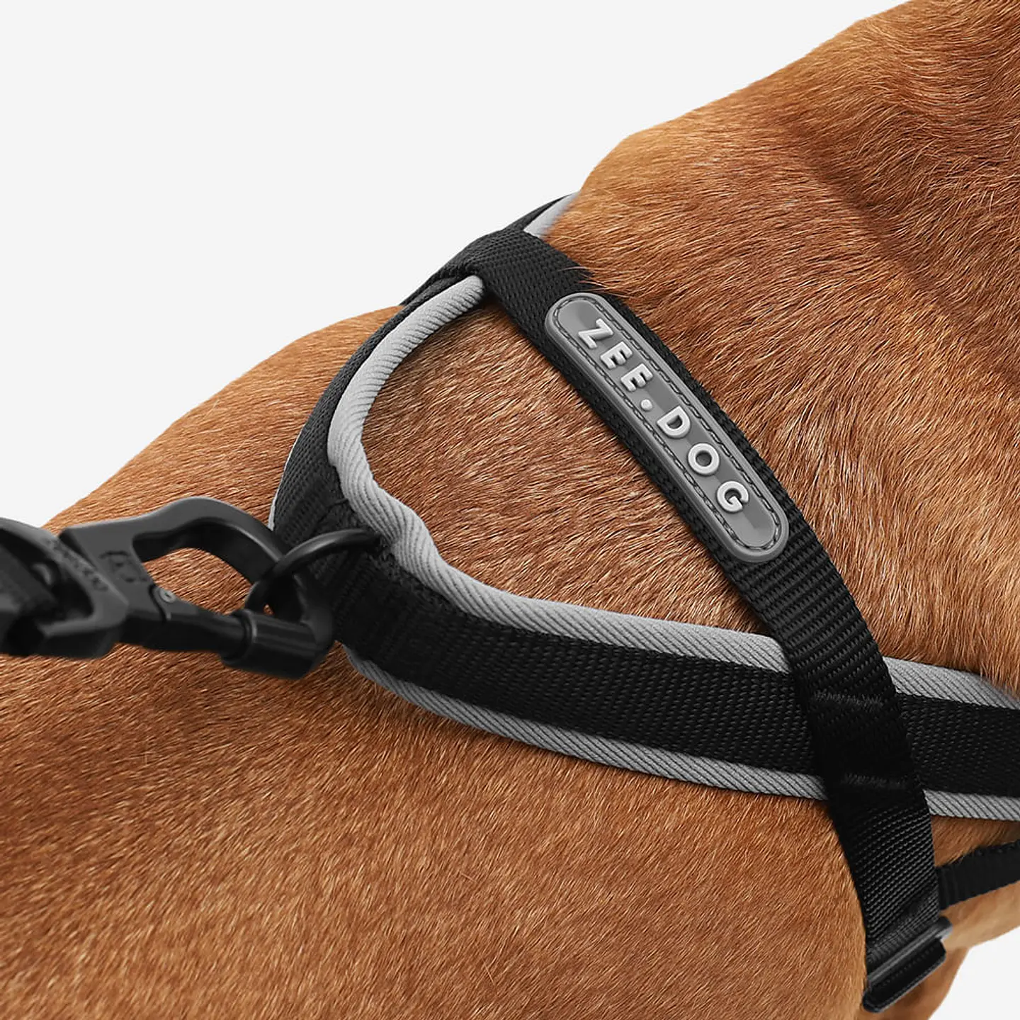 Arnés Anti-Tirones SofterWalk Gotham Zee.Dog para Perro 5