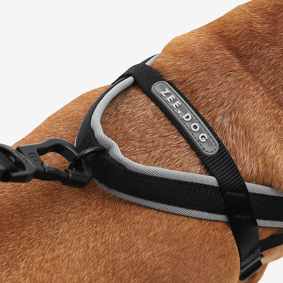 Arnés Anti-Tirones SofterWalk Gotham Zee.Dog para Perro 5