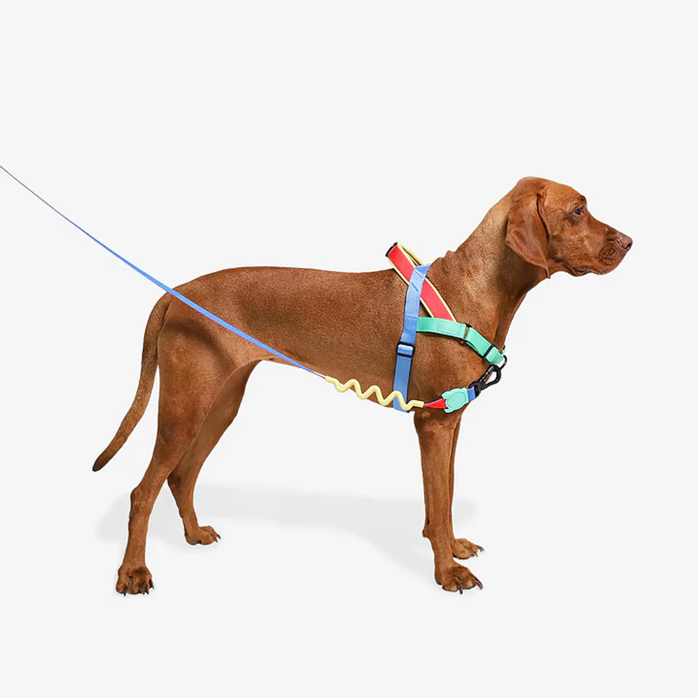Arnés Anti-Tirones SofterWalk Mellow Zee.Dog para Perro 1