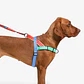 Arnés Anti-Tirones SofterWalk Mellow Zee.Dog para Perro - Miniatura 2
