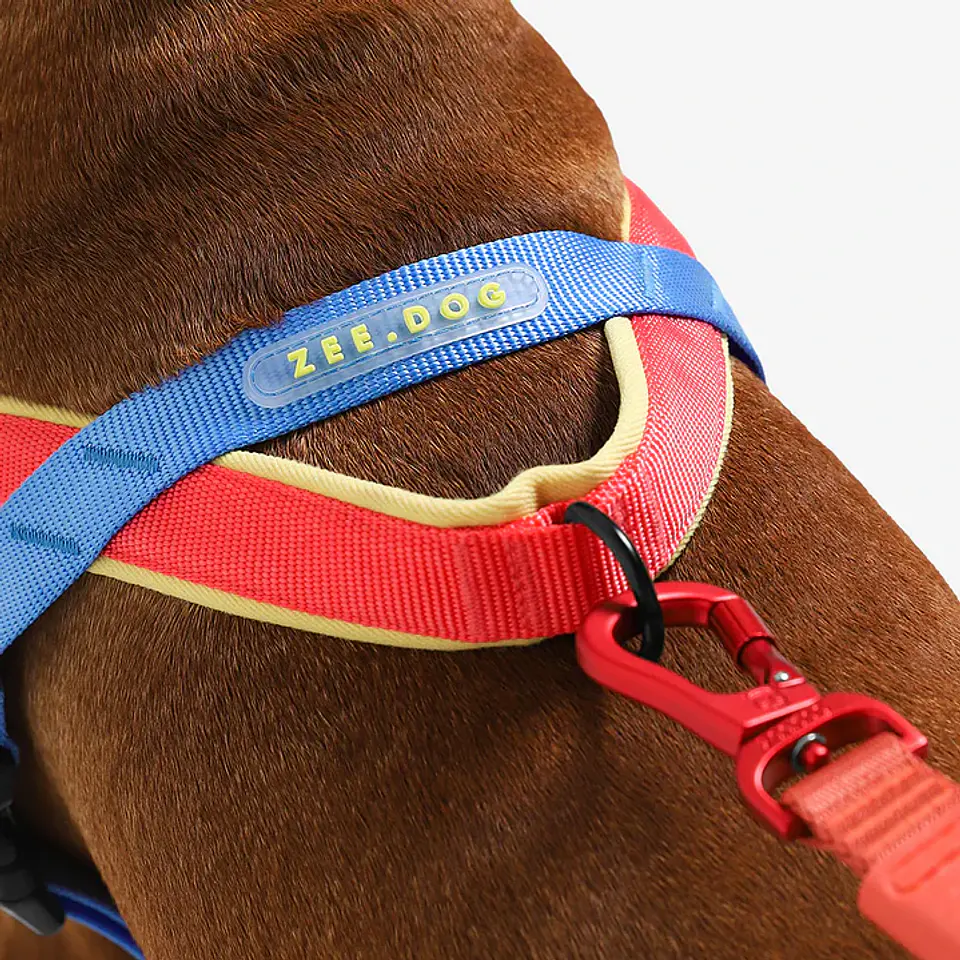 Arnés Anti-Tirones SofterWalk Mellow Zee.Dog para Perro 3