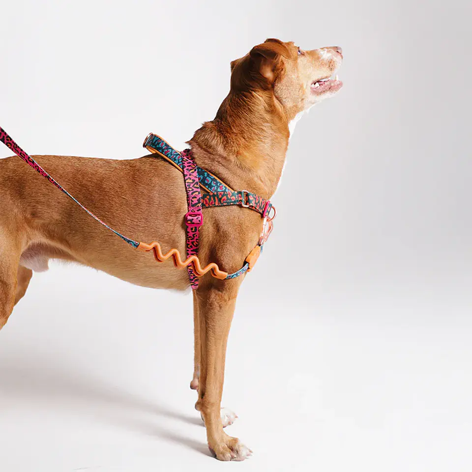 Arnés Anti-Tirones SofterWalk Selva Zee.Dog para Perro 1