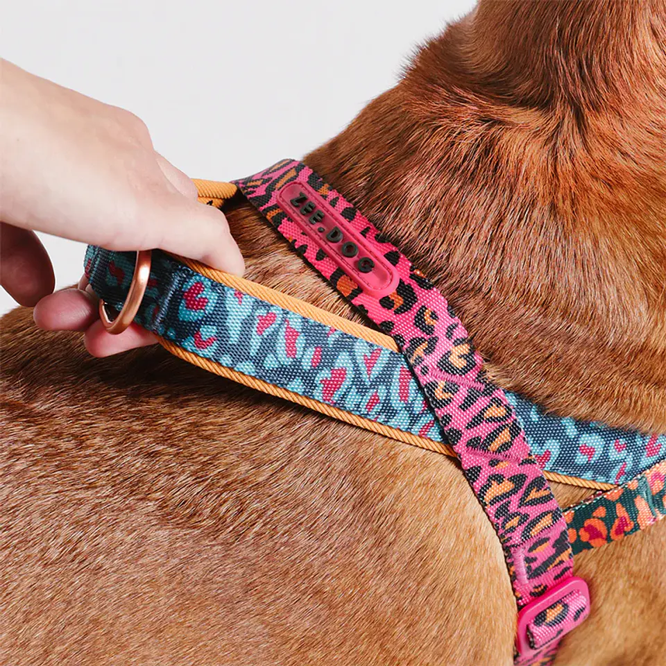 Arnés Anti-Tirones SofterWalk Selva Zee.Dog para Perro 3